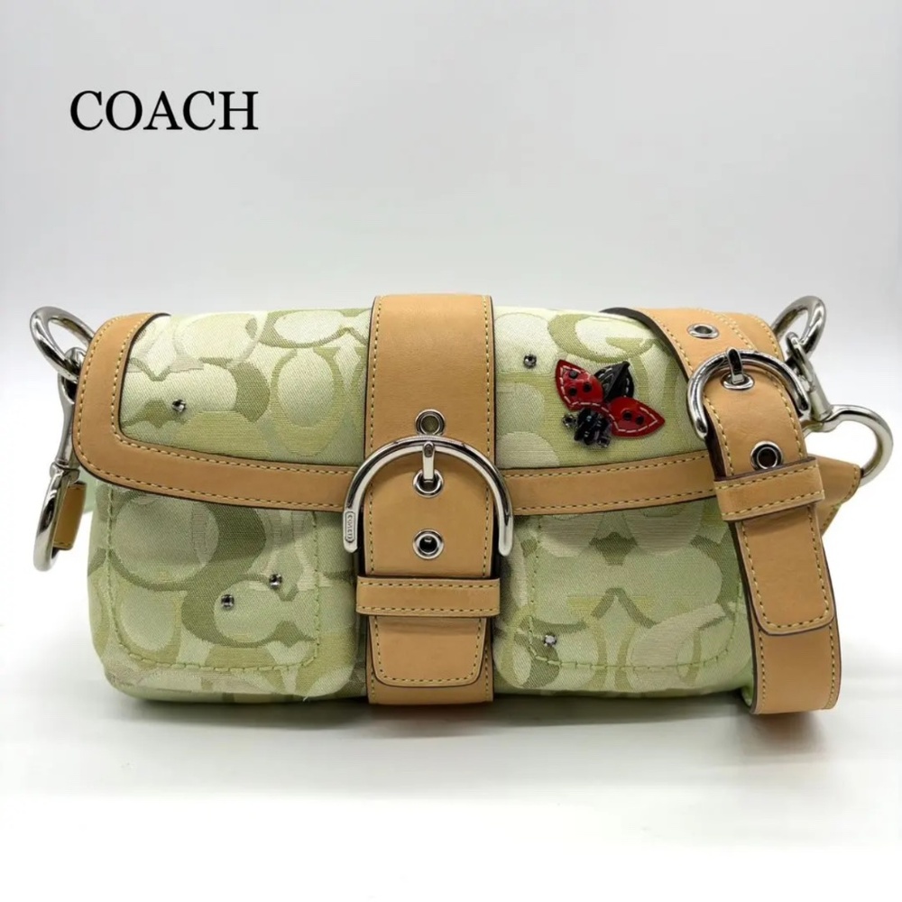 ISO 2004/2005 Coach Ladybug Crossbody
